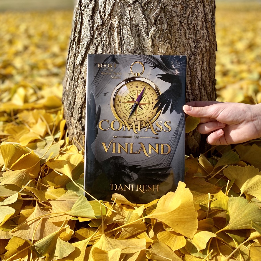 Compass to Vinland book review