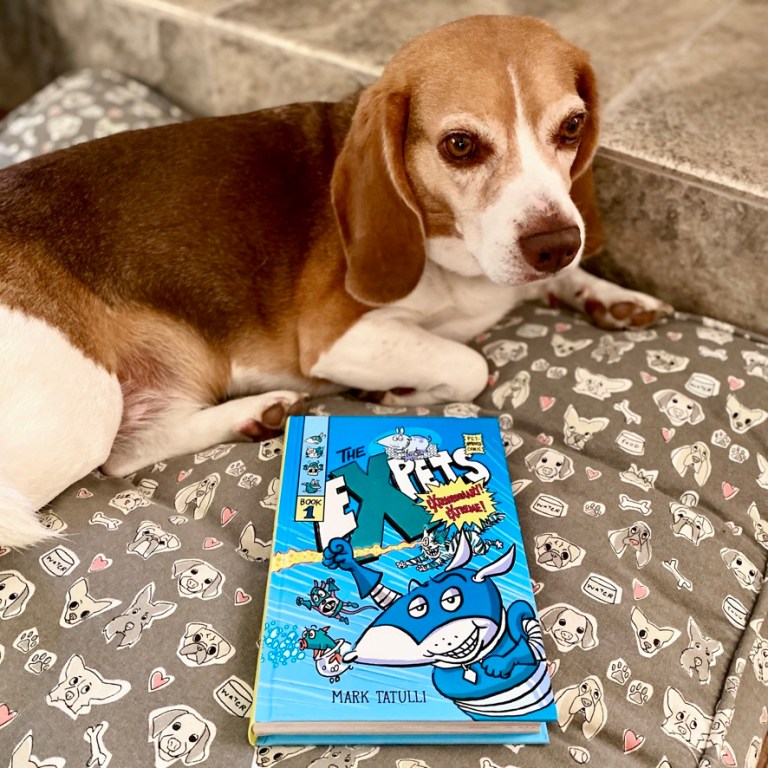 The eXpets by Mark Tatulli  | Graphic Novel Review